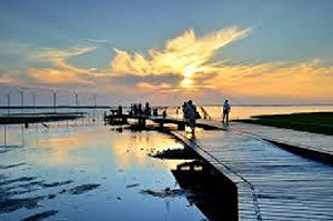 高美溼地木棧道維修 擅闖重罰25萬