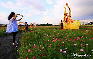 浪漫秋天在這裡 桃園花彩節粉嫩綻放