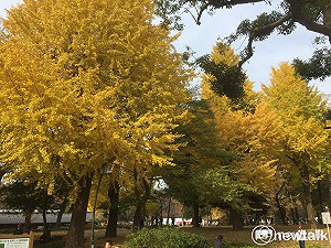 劉黎兒觀點》如此「奢華」的台日文學交流將成絕響？