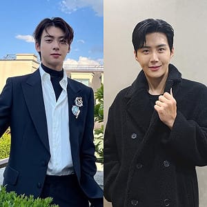 車銀優、金宣虎接連捲逃漏稅風波！公司Fantagio股價暴跌「探歷史低點」