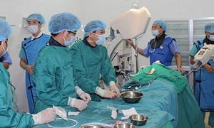 美退WHO後「6大癌症治癒潮」鋪天蓋地？瘋傳多國醫療突破引疑慮