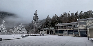 (影)不是雪也超美！太平山「夢幻霧淞」美如仙境  棧道林木全披白紗