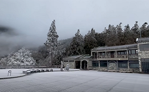 (影)不是雪也超美！太平山「夢幻霧淞」美如仙境  棧道林木全披白紗