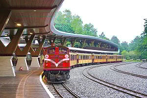 一票難求真相曝！阿里山林鐵8成訂位沒付錢  3/2起強制立即付款