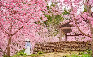 懶人包》過年走春去！觀光署「19處觀光大亮點」全台山海人文一次玩