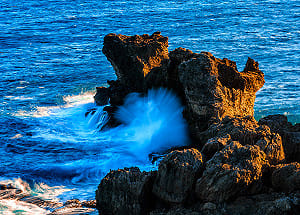 懶人包》賞花、看表演、逛市集！8大國家公園春節活動看這裡