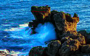 懶人包》賞花、看表演、逛市集！8大國家公園春節活動看這裡