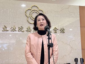 率先披露是護航高金素梅？吳思瑤質疑羅智強急發聲：難道另有盤算