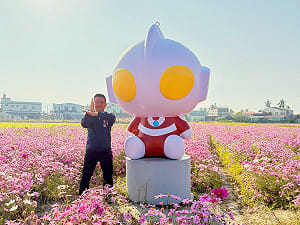 超人力霸王藝術裝置現身美濃、杉林  守護繽紛花海大地