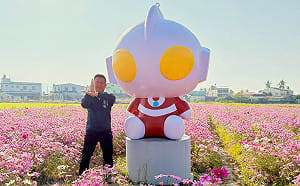 超人力霸王藝術裝置現身美濃、杉林  守護繽紛花海大地