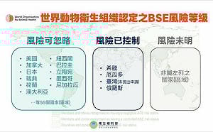 美牛絞肉、內臟開放引關注　食藥署：僅限心肝腎進口、堅守「四大不變」
