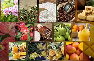 2億美元稅金省下來！農業部簽署台美協定：261項農產免稅銷美