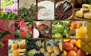 2億美元稅金省下來！農業部簽署台美協定：261項農產免稅銷美