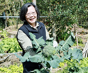 「理由很潦草」卻改變台灣！蔡英文：因他在哭　意外開啟8年總統之路