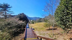 雪霸雲霧步道整修完畢！2/14全線開放
