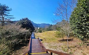 雪霸雲霧步道整修完畢！2/14全線開放