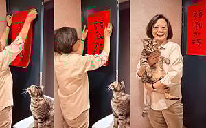 前總統蔡英文除夕親貼「福氣加碼」春聯　愛貓全程監督萌翻網友