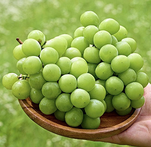 「葡萄界愛馬仕」出現甜甜價！韓國麝香葡萄價格崩 台灣市場也跟進