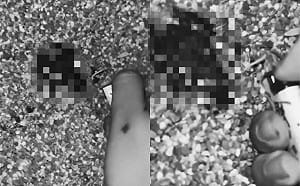 想當網紅賺流量？！台南2學生虐殺青蛙全網罵翻   移送保七偵辦