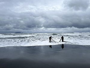 違規現罰15萬！3/1起全台禁捕鰻苗   漁業署：「這2縣市」除外