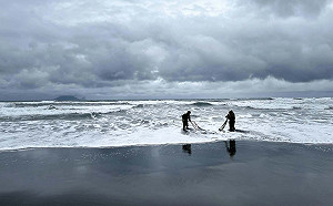 違規現罰15萬！3/1起全台禁捕鰻苗   漁業署：「這2縣市」除外