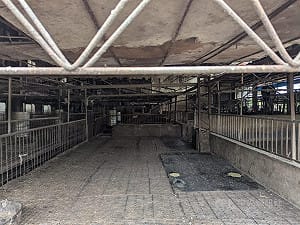 台中洽興畜牧場爆非洲豬瘟　業者遭訴檢籲重判