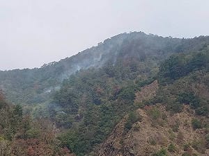 南投埔里森林延燒11天擴達40公頃　陸空全力搶救