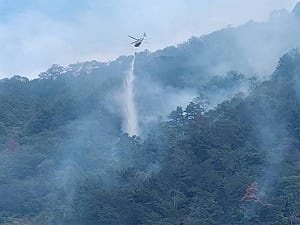 埔里森林連燒7天剛控制住 昨又復燃！延燒面積已達39.94公頃