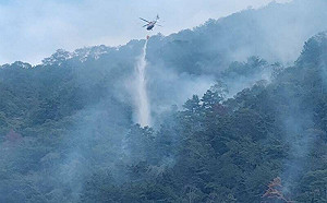 埔里森林連燒7天剛控制住 昨又復燃！延燒面積已達39.94公頃