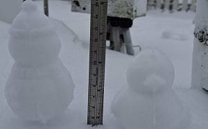 (影)玉山雪狂下3小時！大雪紛飛積雪4公分  夢幻畫面曝光