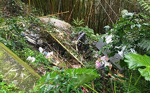 桃園女敗血症就醫驚見「體內有胎盤」！認棄嬰丟山區 警尋獲遺體