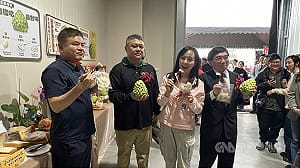 農糧署挺台東鳳梨釋迦  提供配合加工業者專案貸款