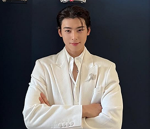 整頓「空殼公司逃漏稅」！韓國會擬定「車銀優防止法」