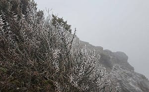 玉山清晨下雪！氣象站、北峰化身銀白世界 夢幻美照曝光