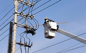 防鳥獸停電  台電啟動「驚蟄穩供」專案 動員逾4000人超前部署