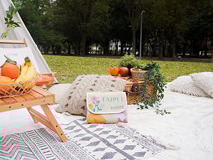 2026台北花伴野餐3/28登場！超萌「寶可夢」伴你春遊