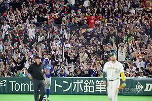 台灣球迷湧WBC東京巨蛋　巴札納開轟納悶無歡呼聲