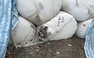 (影)掩埋場太空包破損 綠營批中市府「垃圾玉山」政策破功