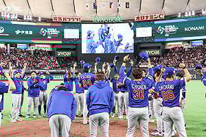 WBC台灣隊能否晉級邁阿密？今晚韓澳戰需同時達成2條件　遇1情況得進一步比自責分和打擊率