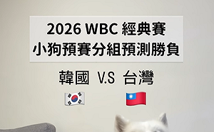 WBC賽前薩摩耶精準預測台灣2勝2敗！四場全中吸百萬網友朝聖