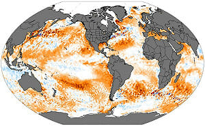 全球海溫居高不下！鄭明典一圖示警：平均氣溫將再升高 