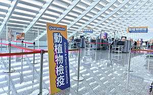 檢疫規定霧煞煞？防檢署官方Line帳號「可入境伴手禮」一鍵查清楚