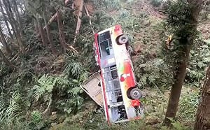 「杉林溪園內接駁車」翻落20公尺深谷！觀光署：全面停駛調查