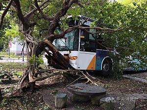 北市公車三總內湖院區內自撞路樹　10人輕傷