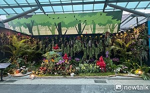 蘭花景觀競賽「最佳人氣獎」進入最後衝刺  南市府邀全民指尖應援抽好禮