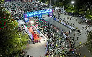 台中城市半程馬拉松  變裝組選手花朵頭套齊跑