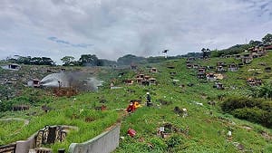 掃墓高峰期　消防署籲以米代金環保祭祀