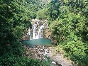 探索森林更便利！林保署推優化手機版網頁  一鍵定位