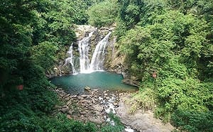 探索森林更便利！林保署推優化手機版網頁  一鍵定位