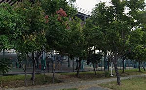 高雄男持刀回母校追砍女同學！辯稱「只是想嚇人」 檢偵結起訴